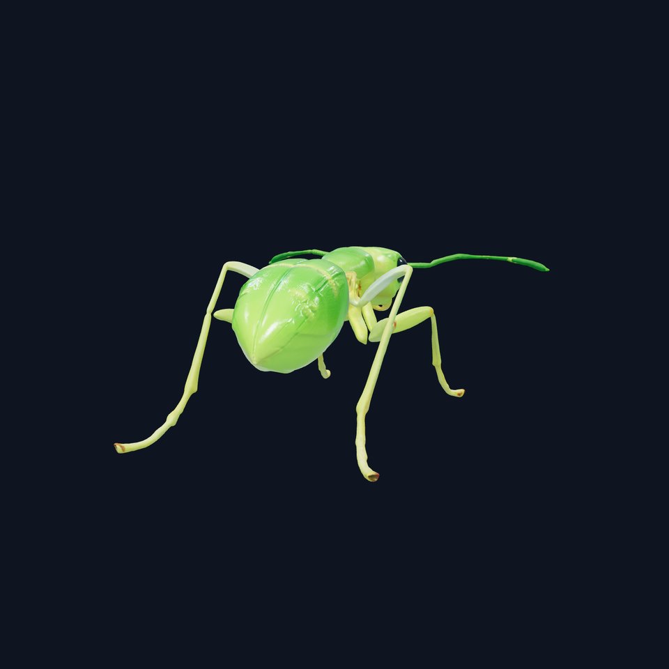 Bioluminescent Neon Green Firefly Ant Insect model pack